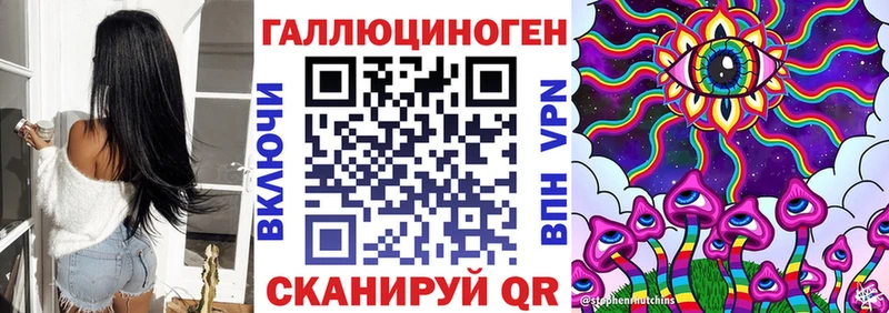 где продают   Ртищево  Псилоцибиновые грибы Psilocybe 