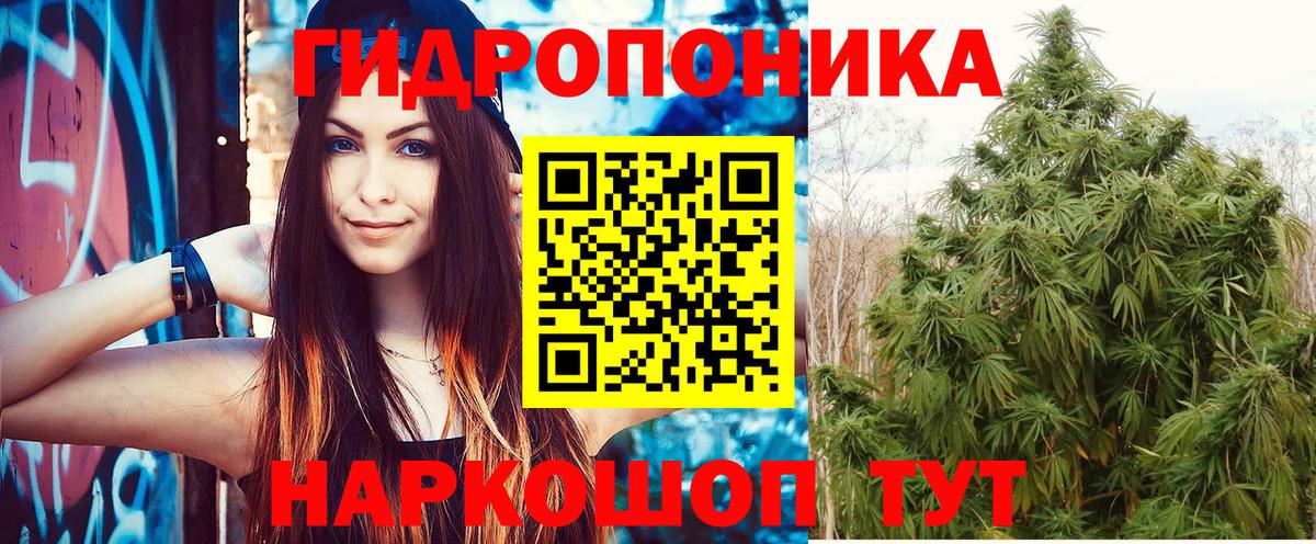 Марихуана White Widow  Вход с VPN  Шишки марихуана AK-47  МАРИХУАНА Bruce Banner  Ртищево 